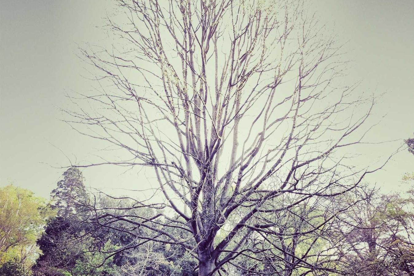 Officiis dignissimos consequatur quas enim